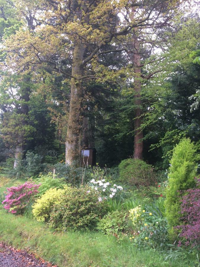 Claremont House Keswick Bed and Breakfast Keswick  Buitenkant foto